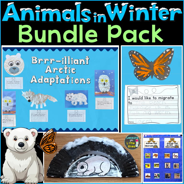 Migration Adaptation Hibernation Animals in Winter Bundle