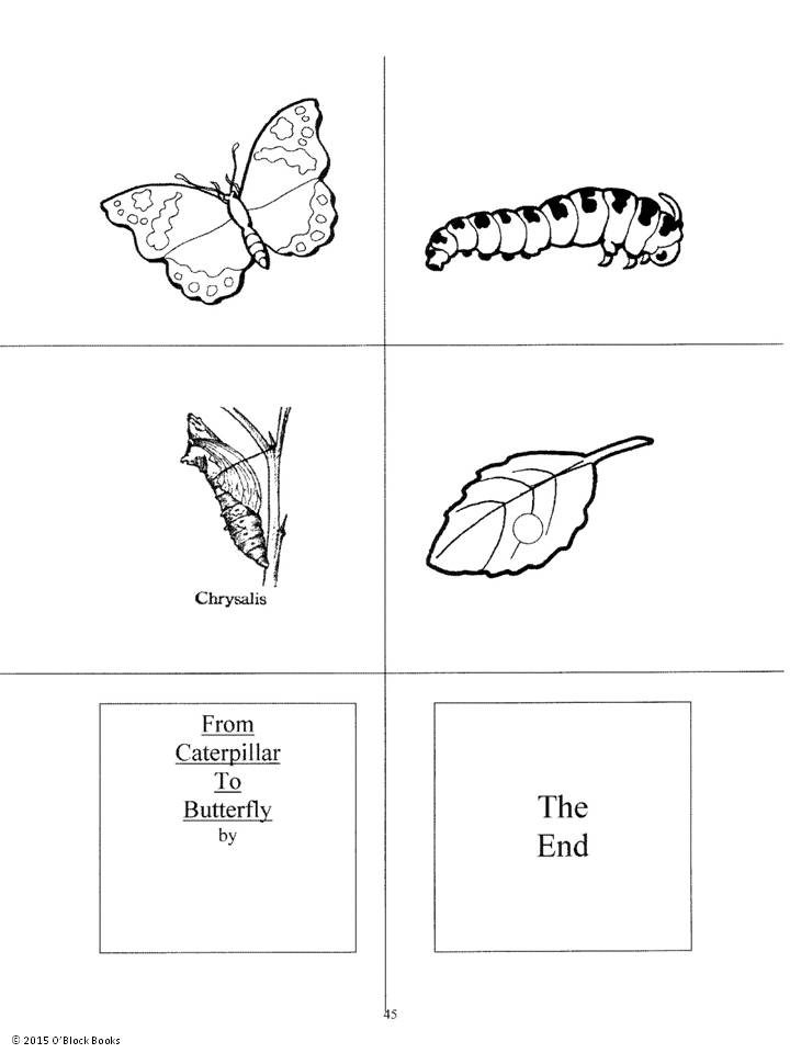 caterpillar to butterfly student book