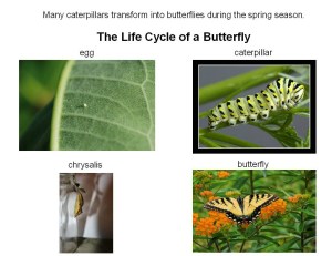 signs of the spring season