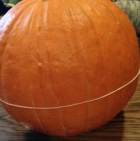 pumpkin girth