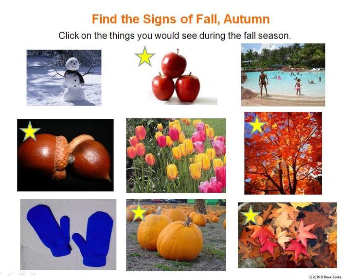 signs of the fall, autumn