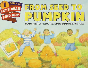 From Seed to Pumpkin