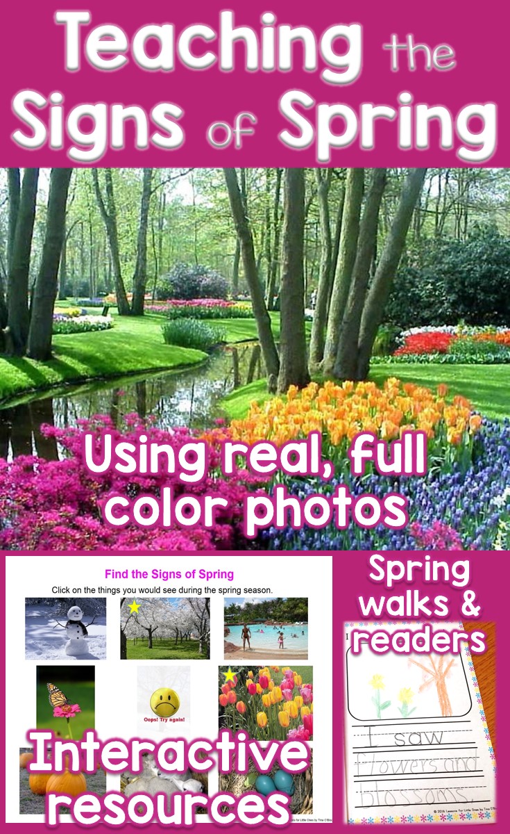 Teaching the Signs of Spring to Primary Students