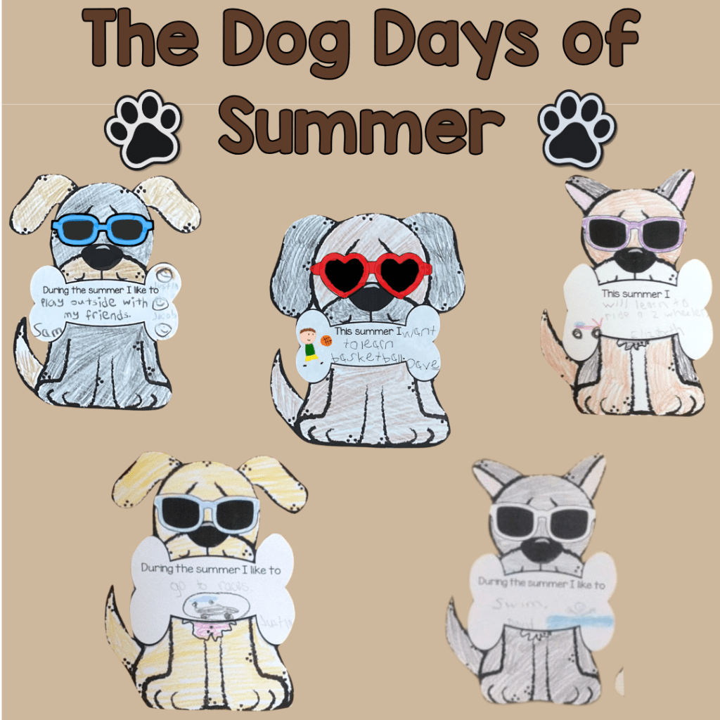 summer bulletin board dog theme