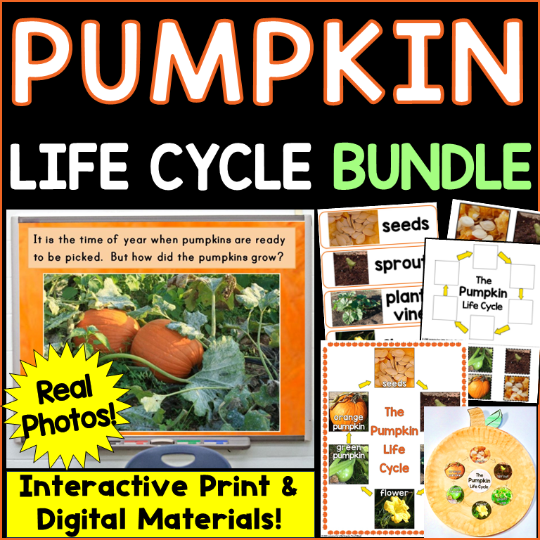 Pumpkin Life Cycle Bundle real photos, craft, vocabulary cards, interactive slides
