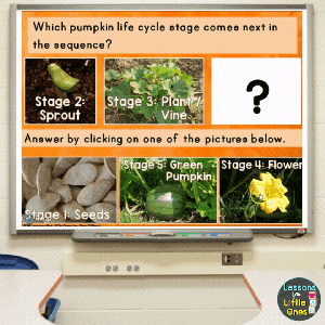 Interactive pumpkin life cycle activity for preschool, kindergarten, first - second grade