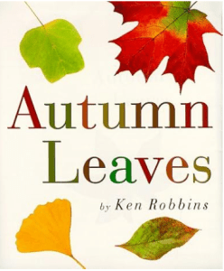 Autumn Leaves