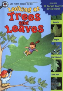 Looking at Trees and Leaves