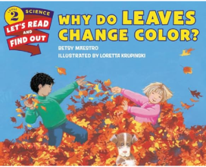 Why Do Leaves Change Color?