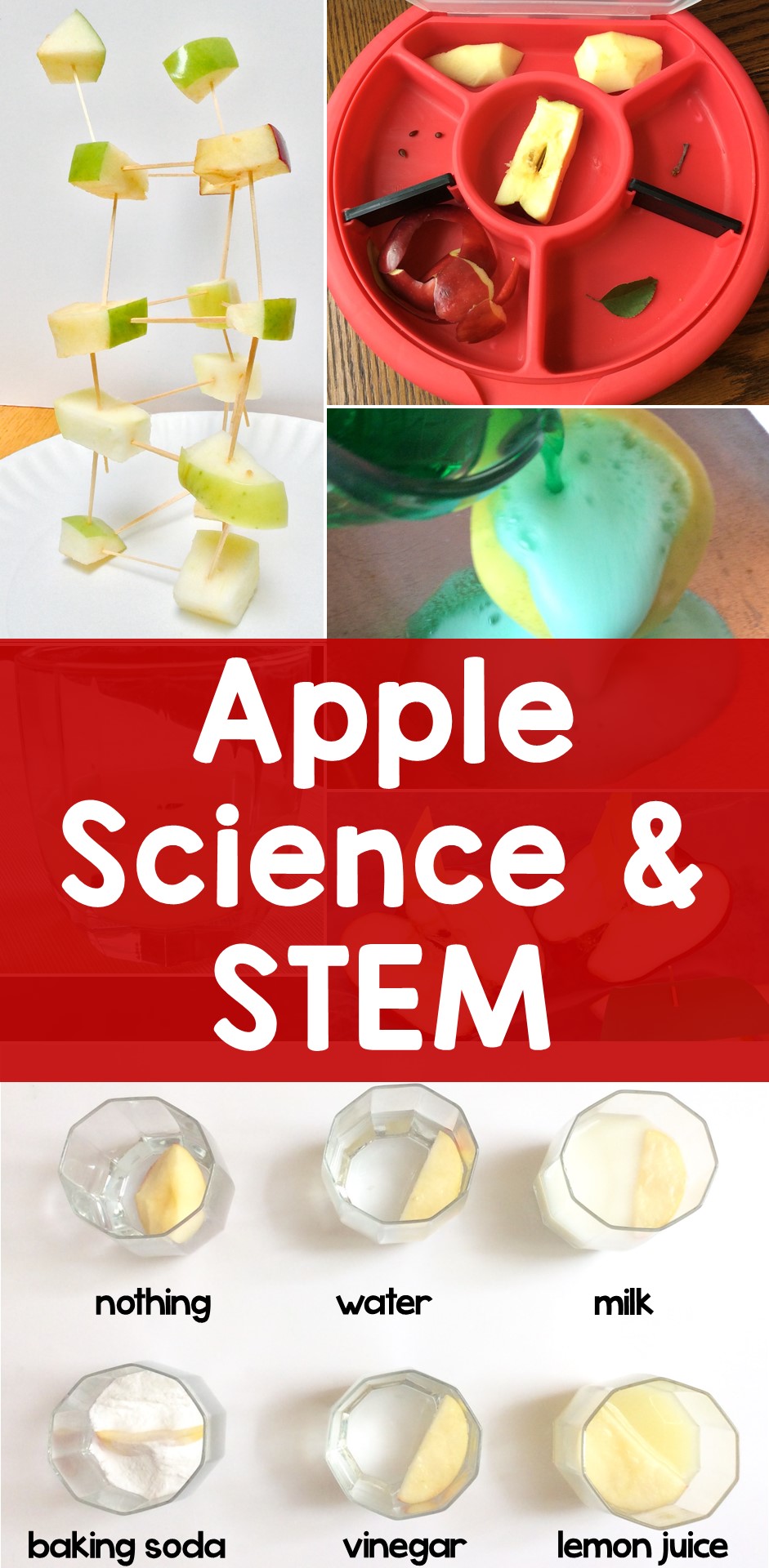 apple science experiments & STEM activities