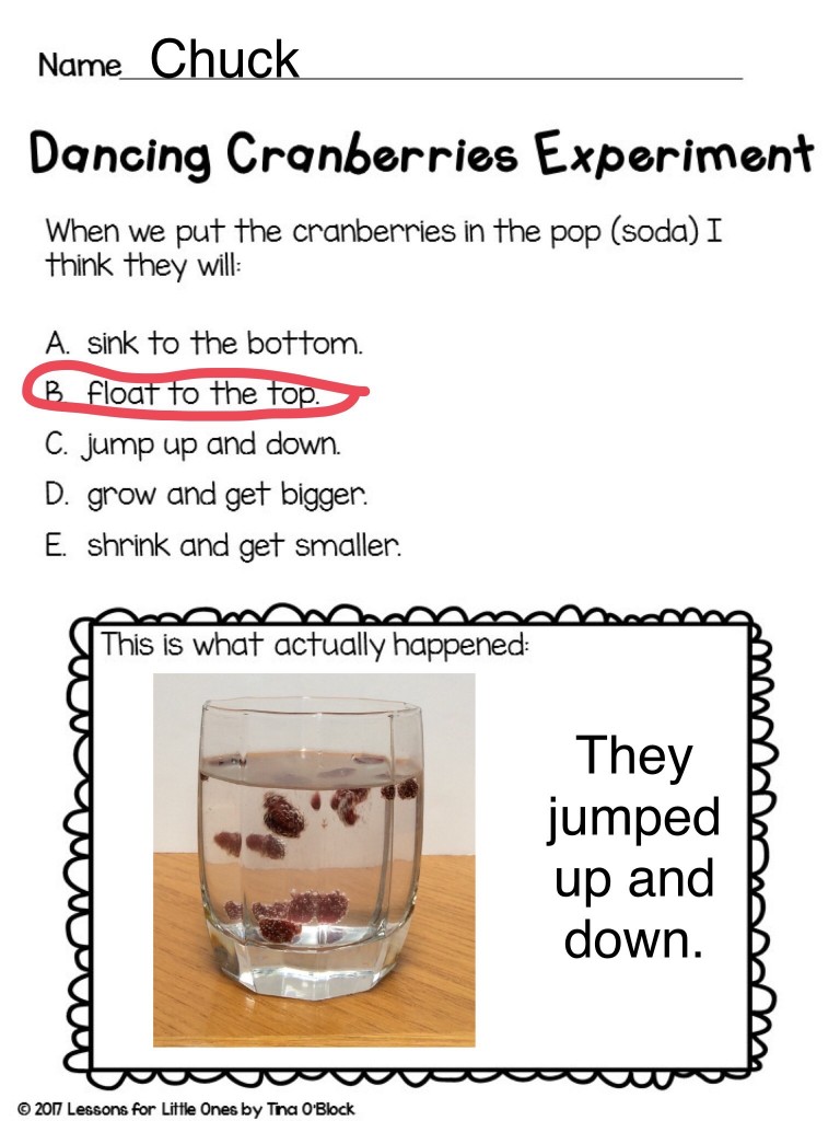 dancing cranberries experiment page