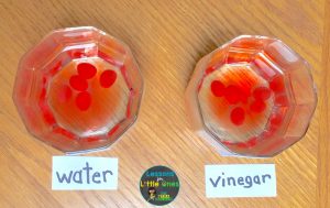 dissolving jelly beans Easter science experiment