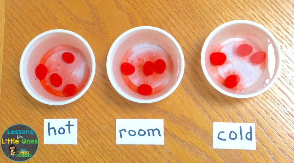 dissolving jelly beans Easter science experiment