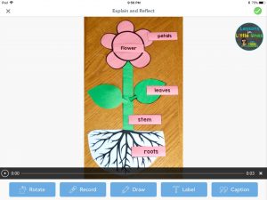 parts of a flower puzzle activity in Seesaw app