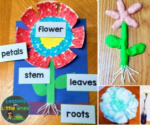 flowers activities, parts of a flower