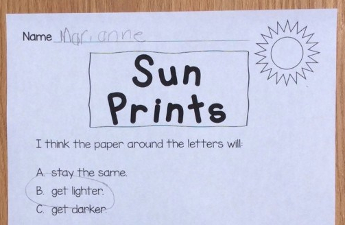 sun prints science experiment page