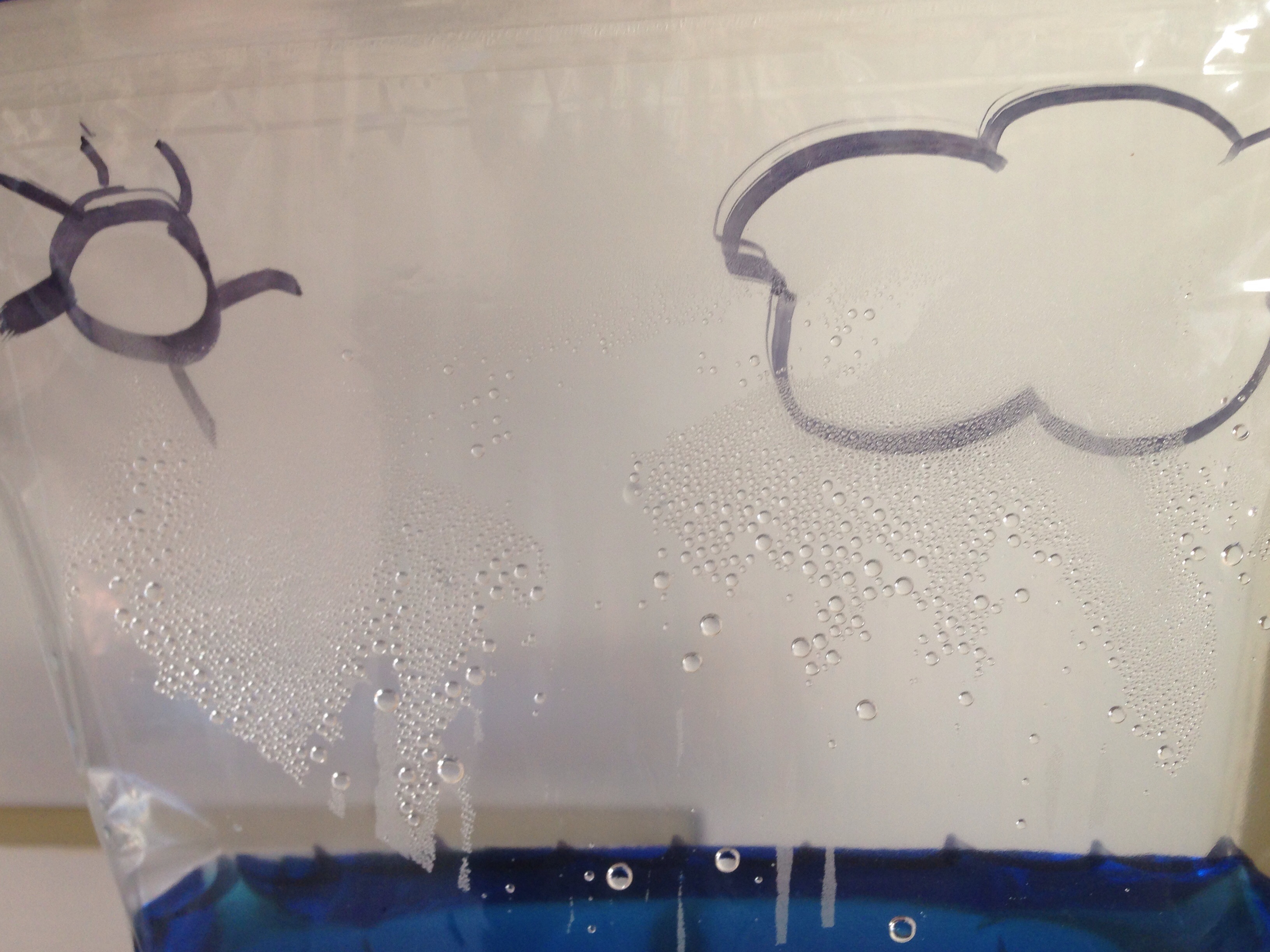 water cycle science experiment in baggie