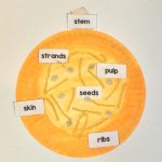 pumpkin craft - the insides of a pumpkin