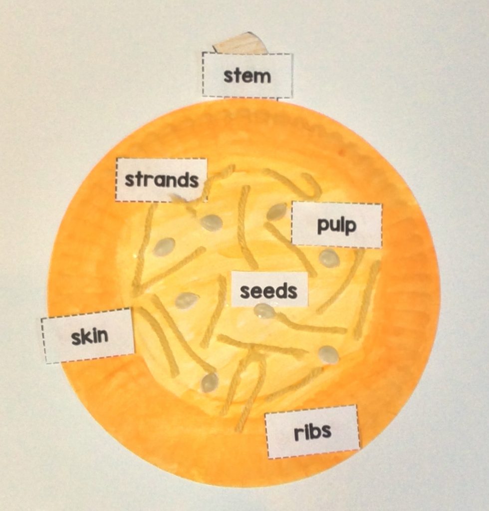 pumpkin craft - the insides of a pumpkin