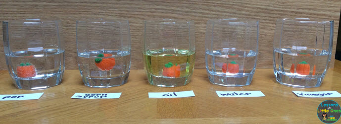 candy pumpkin experiment