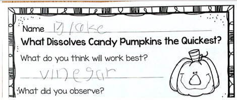 candy pumpkin experiment prediction