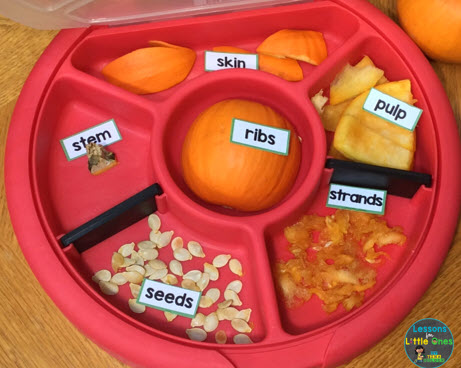 parts of a pumpkin labeling activity