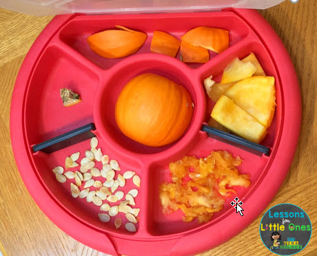 parts of a pumpkin in a sorting tray