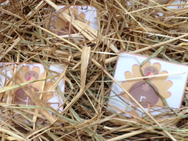 alphabet sensory bin activity Thanksgiving