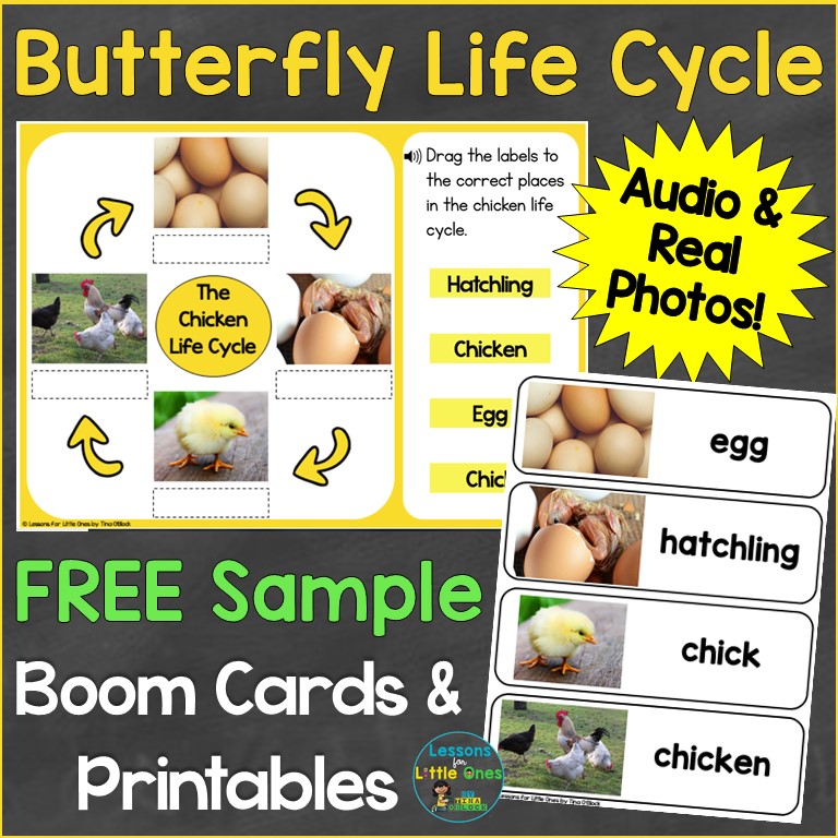 Free Butterfly Life Cycle Boom Cards Printables