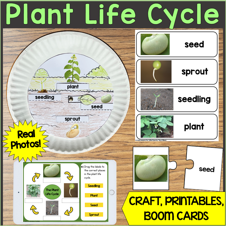 Plant Life Cycle Craft Print Digital teaching materials 