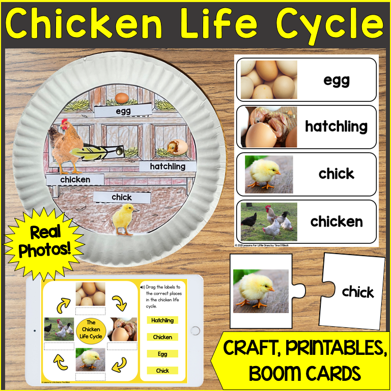 chicken life cycle craft printable and digital teaching materials