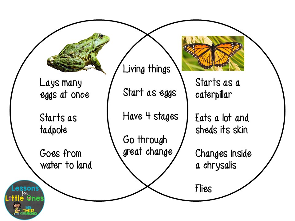 life cycle venn diagram