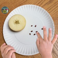 Apple Science Experiments & STEM Activities