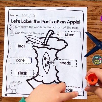 Apple Science Experiments & STEM Activities