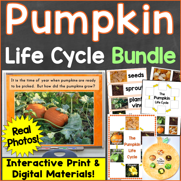 Pumpkin Life Cycle Activities Bundle Preschool Kindergarten First Grade