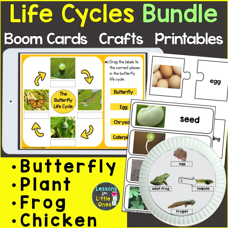 life cycles bundle butterfly chicken frog plant