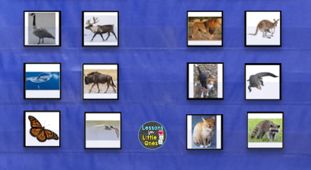 animals in winter sorting activity