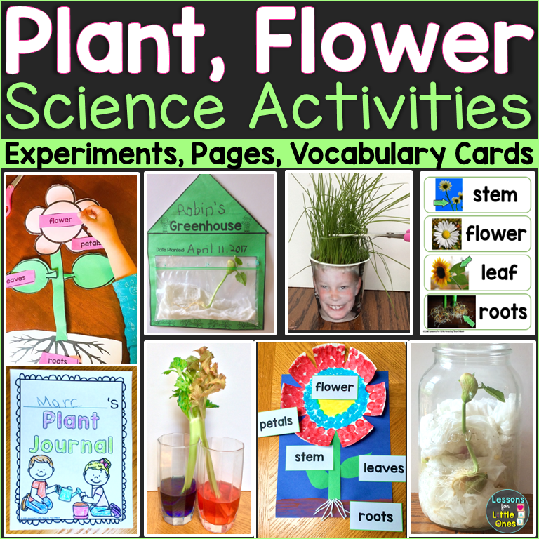 Plants Planting seeds classroom science parts of a flower activities