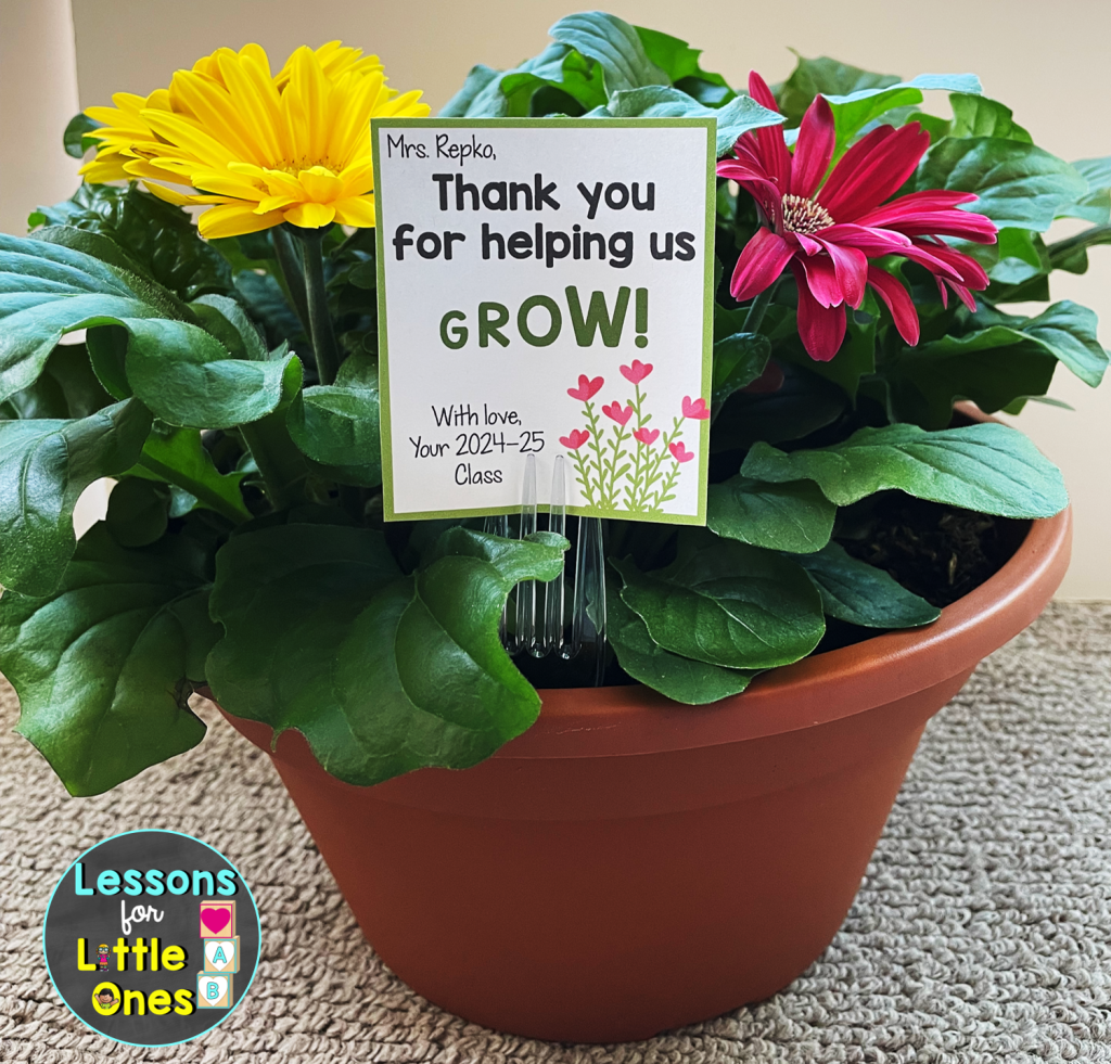 Teacher Appreciation Gift Ideas - Plant Thank You for Helping Us Grow